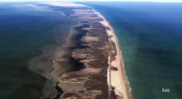 South Padre Stayz South Padre Island Exterior foto